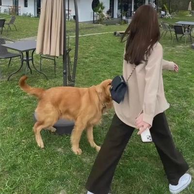救命缉约